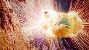 Mittel (PASTA! Still 04)