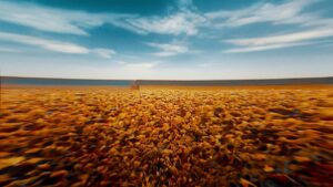 Groß (Filmpreis Szenenbild1)