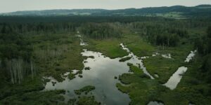 Groß (SinkendesLand 3 Theresa Mammel FABW)